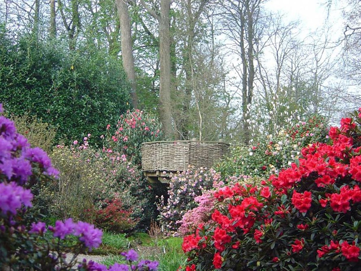 One of the garden's tree-top viewing platforms