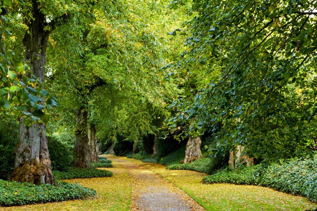 Biddulph Grange Garden, Staffordshire