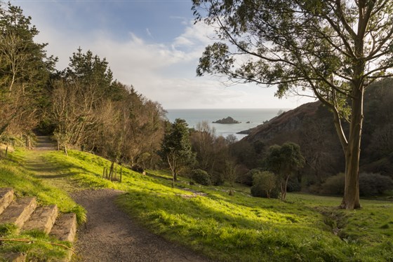  Coleton Fishacre, Devon  <span style='font-size:8px;'>®National Trust Images/Chris Lacey</span>