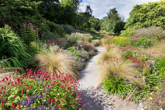 The summer garden