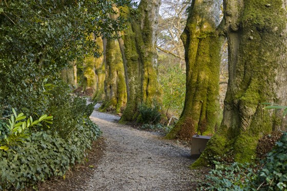 Greenway, Devon <span style='font-size:8px;'>®National Trust Images/Andrew Butler</span>