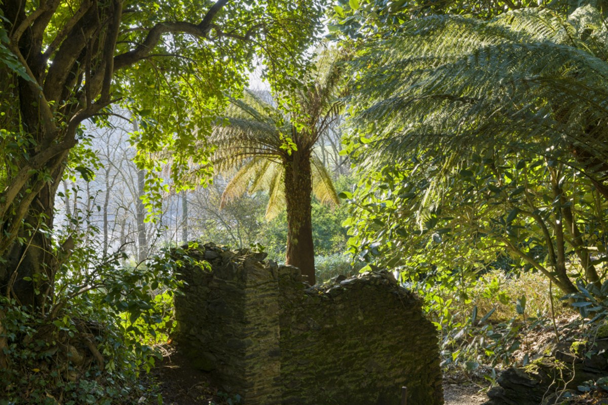 Greenway, Devon <span style='font-size:8px;'>®National Trust Images/Andrew Butler</span>