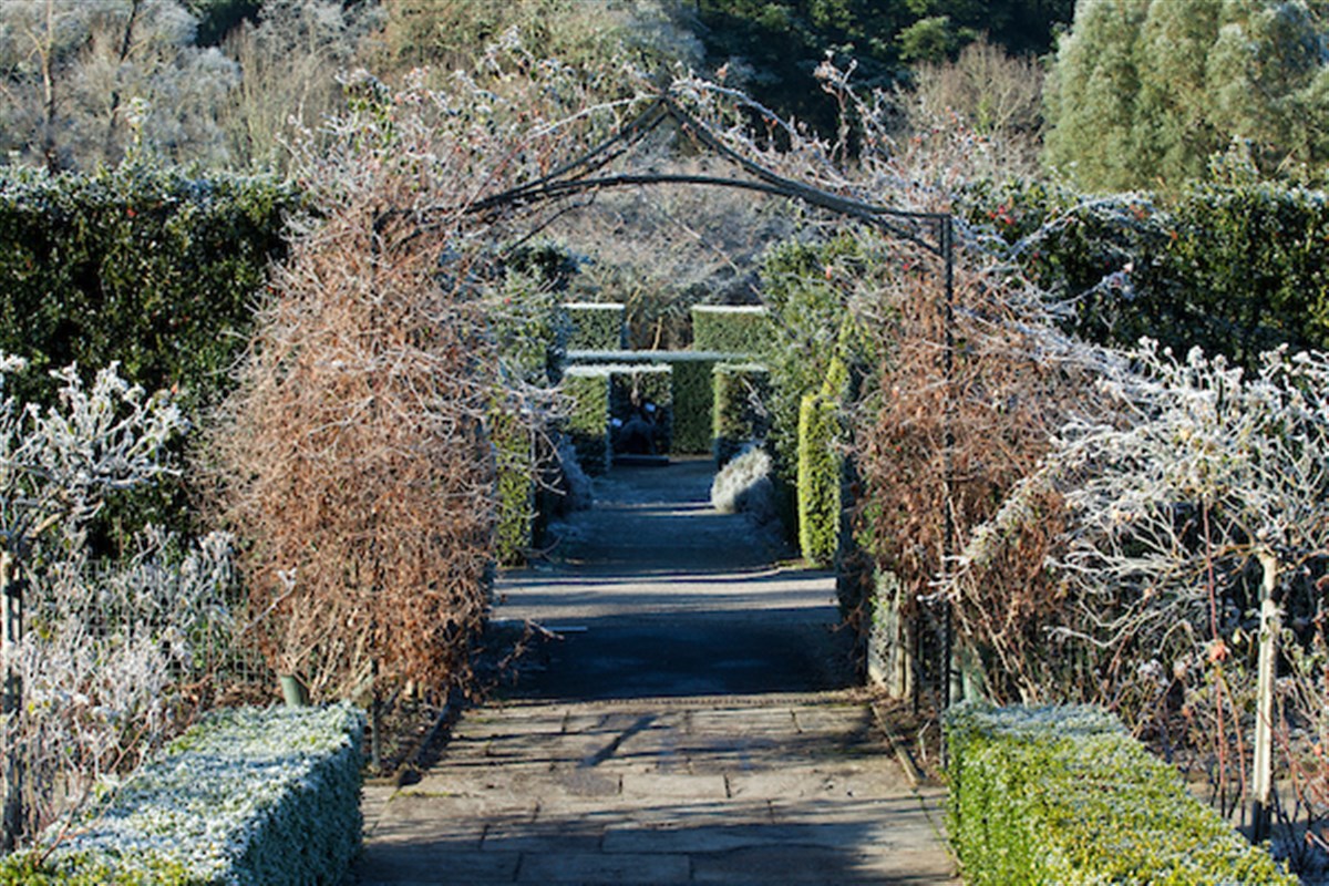 The Queen Mother's Rose Garden in Winter  ® RHS