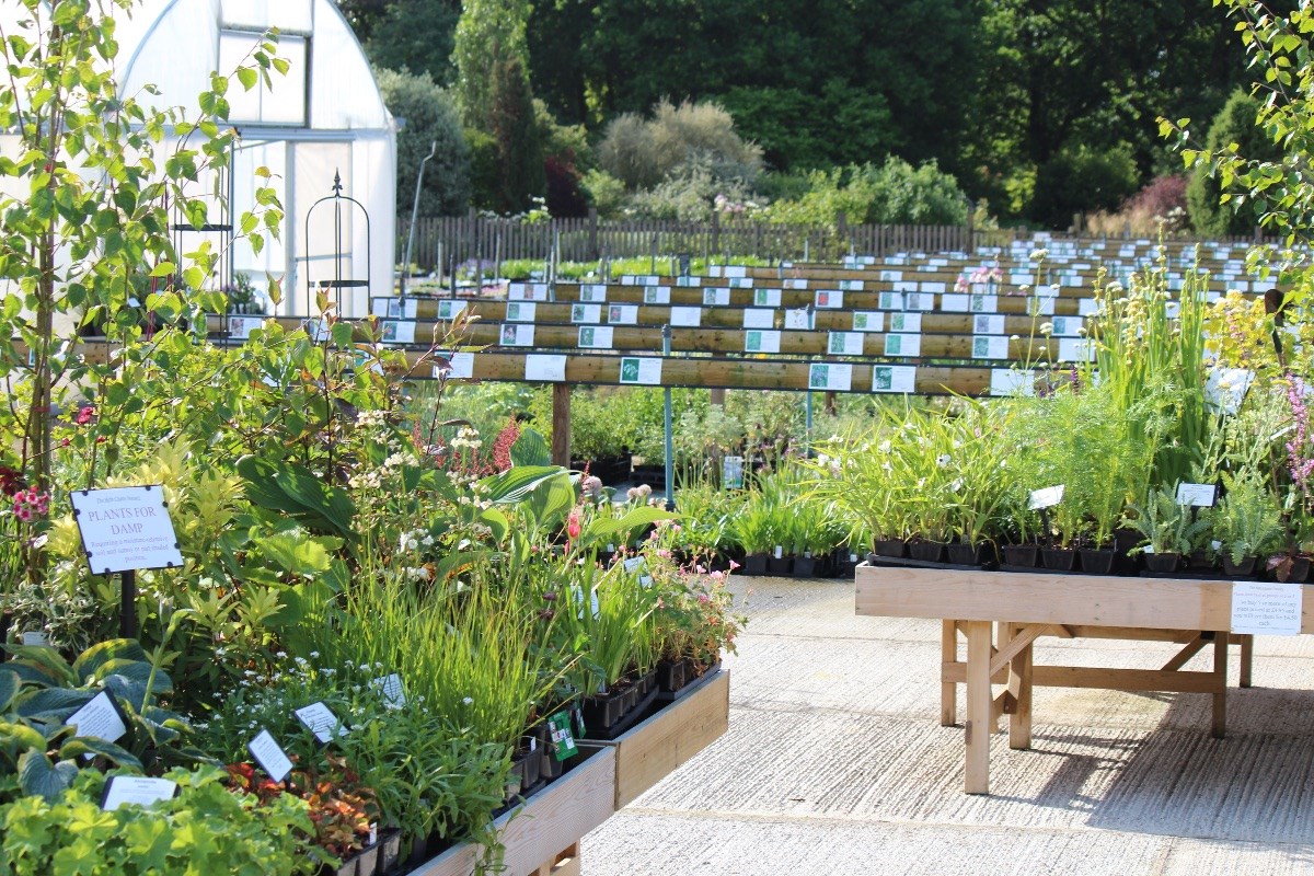 The well-stocked plant nursery