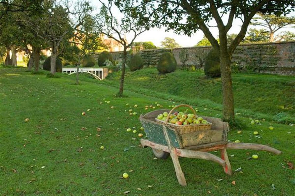 Apple Walk