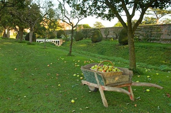 Apple Walk