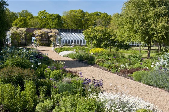 The gardens 