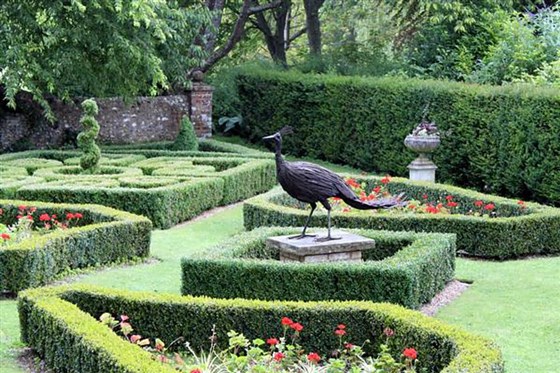 Peacock Garden 