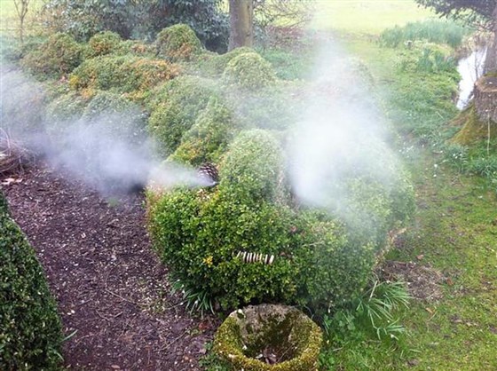 Snorting Topiary Dragon 
