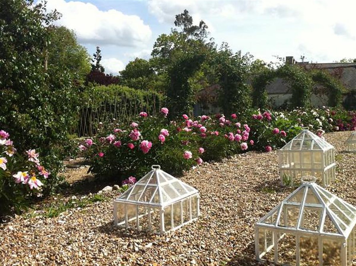 Peony Walk 