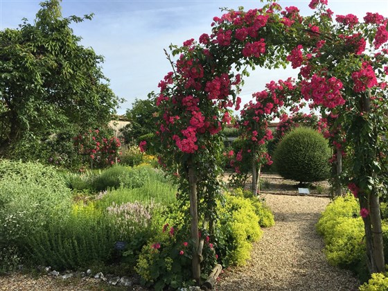 Herb Garden 