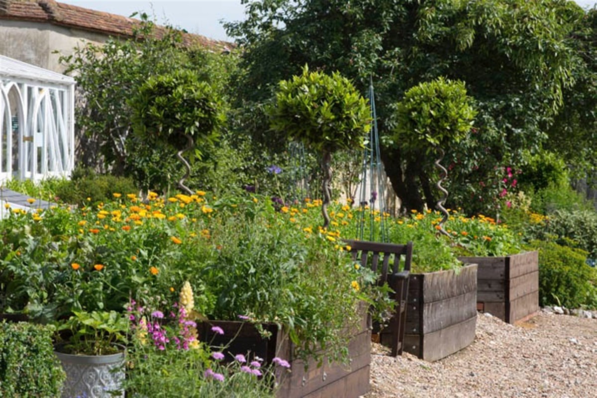 Seasonal Raised beds in the Walled Garden. Photo Leigh Clapp