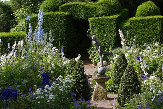 Delphiniums in the Mercury Border. Photo Leigh Clapp