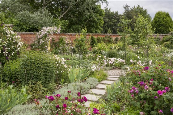  Mottisfont  <span style='font-size:8px;'>®National Trust Images/James Dobson</span>