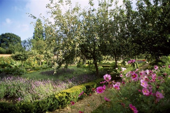 West Green House Garden <span style='font-size:8px;'>®National Trust Images </span>