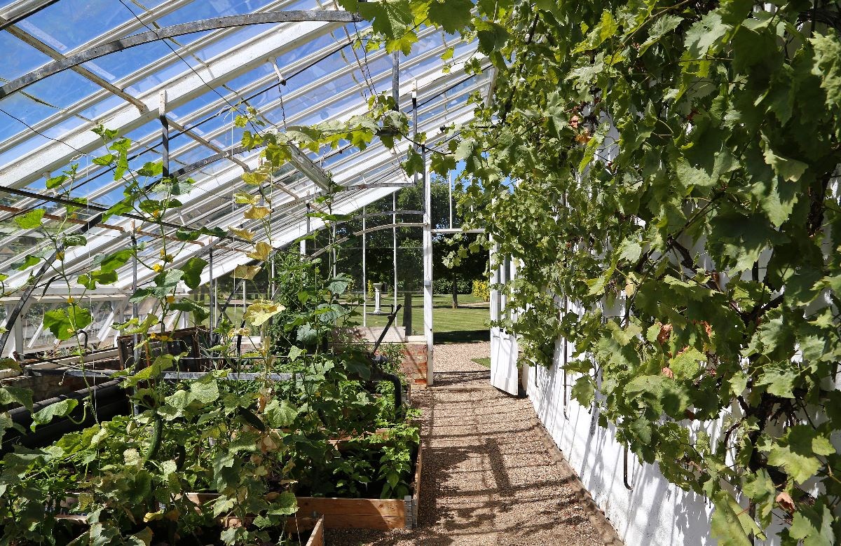 Greenhouse