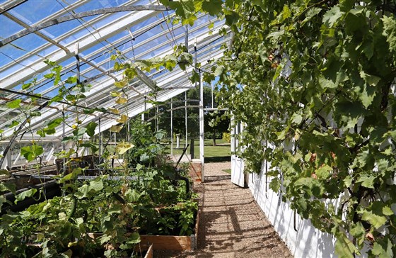 Greenhouse