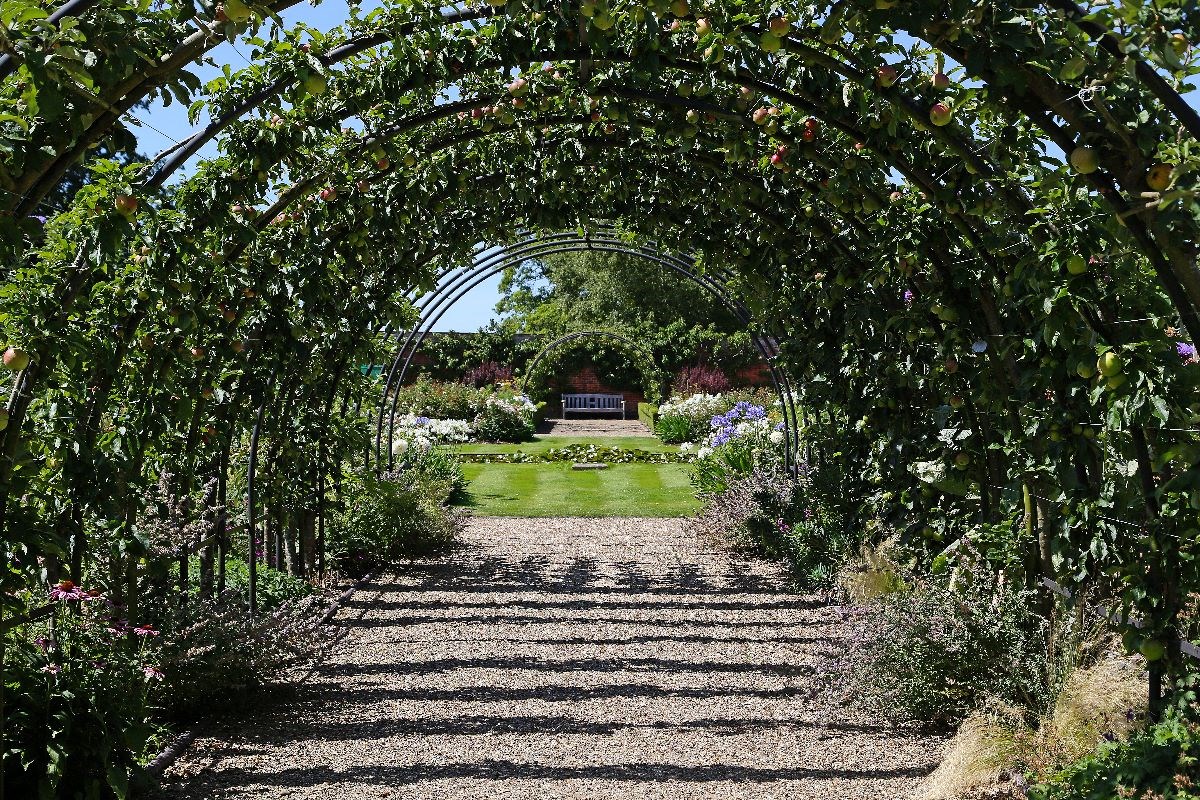 Kitchen Garden