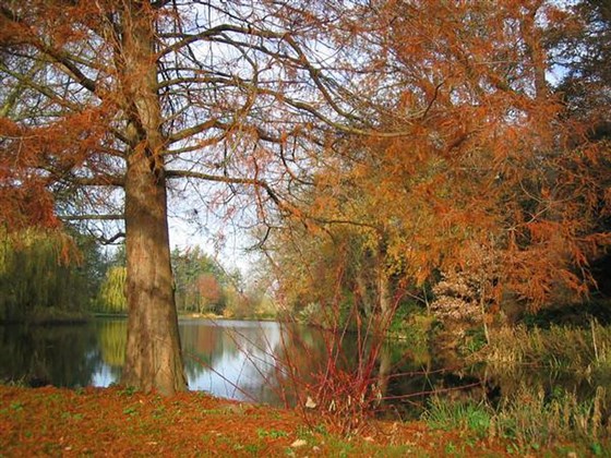 The lake