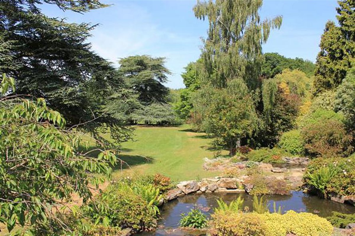 Rock garden