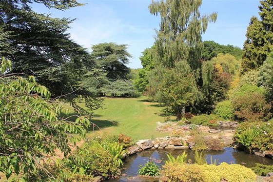 Rock garden