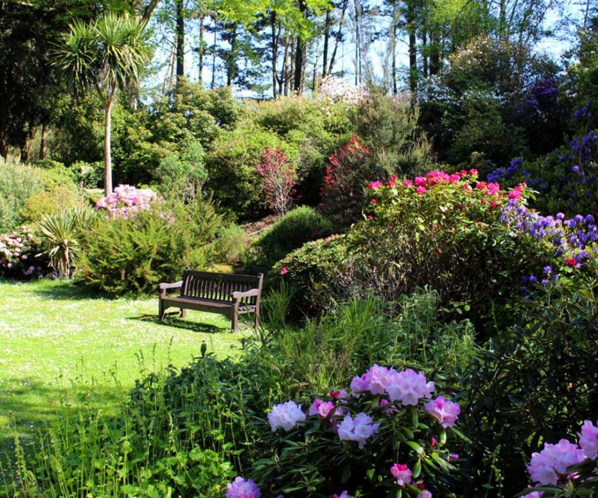 Rock garden
