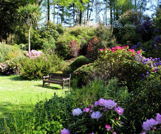 Rock garden