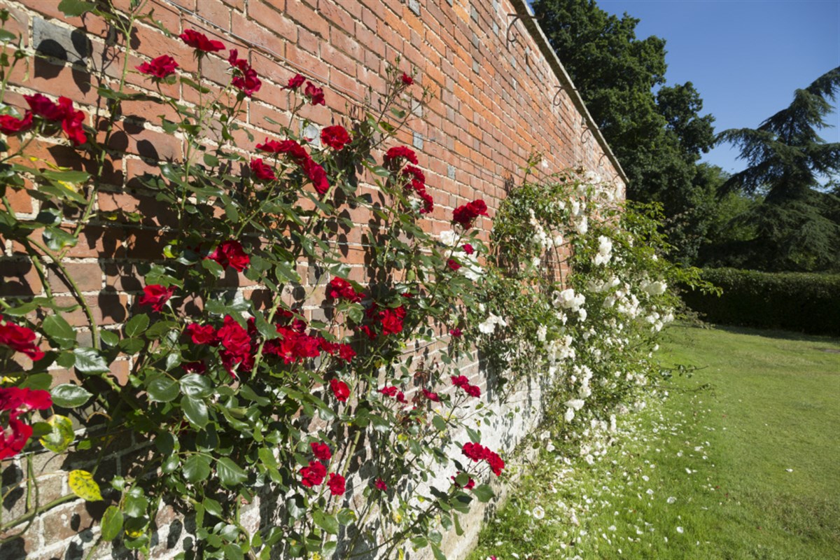  Scotney Castle, Kent <span style='font-size:8px;'>®National Trust Images/John Millar</span>