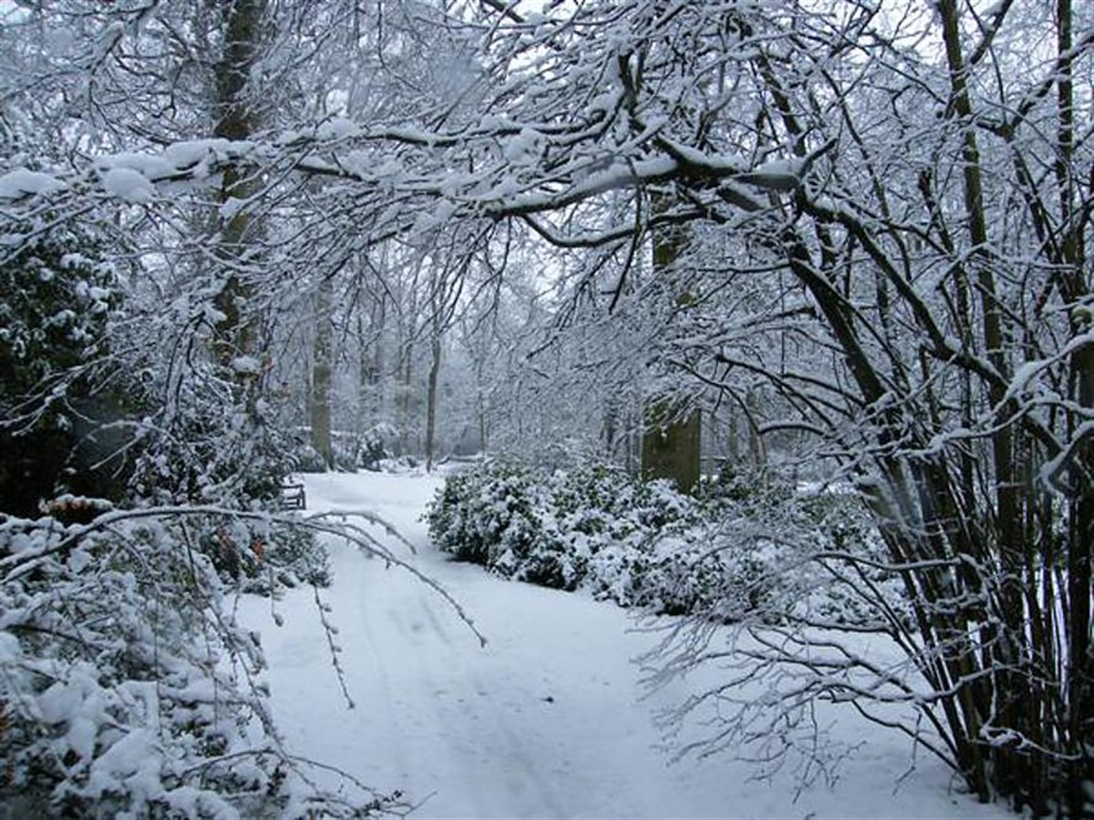 Winter in the West Garden