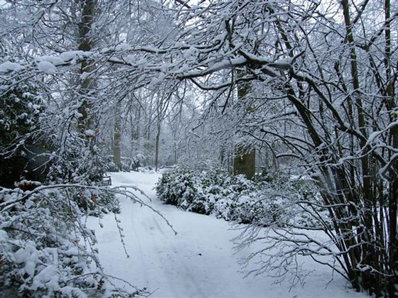 Winter in the West Garden