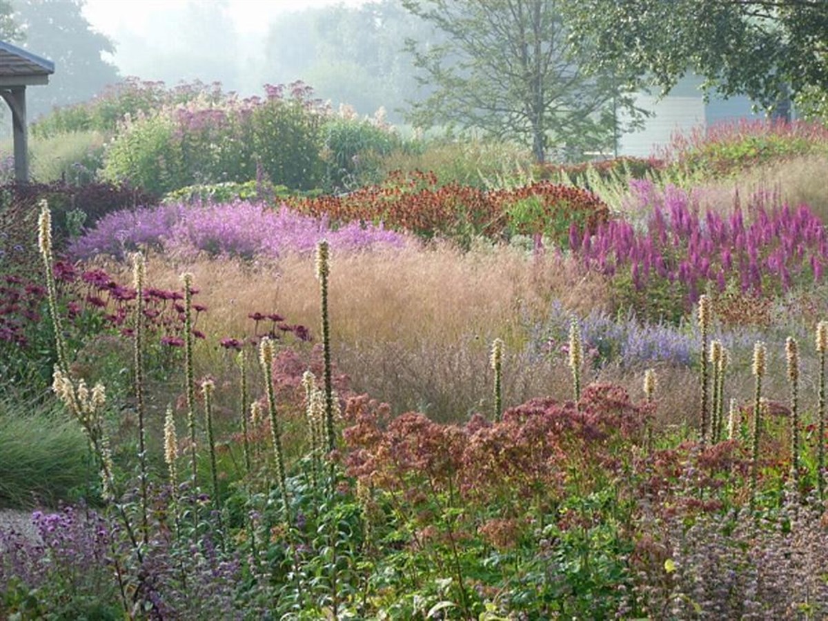 Millennium Garden