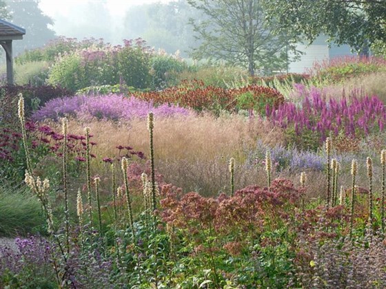 Millennium Garden