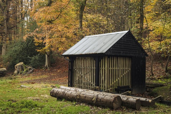 Sheringham Park, Norfolk <span style='font-size:8px;'>®National Trust Images/Justin Minns</span>
