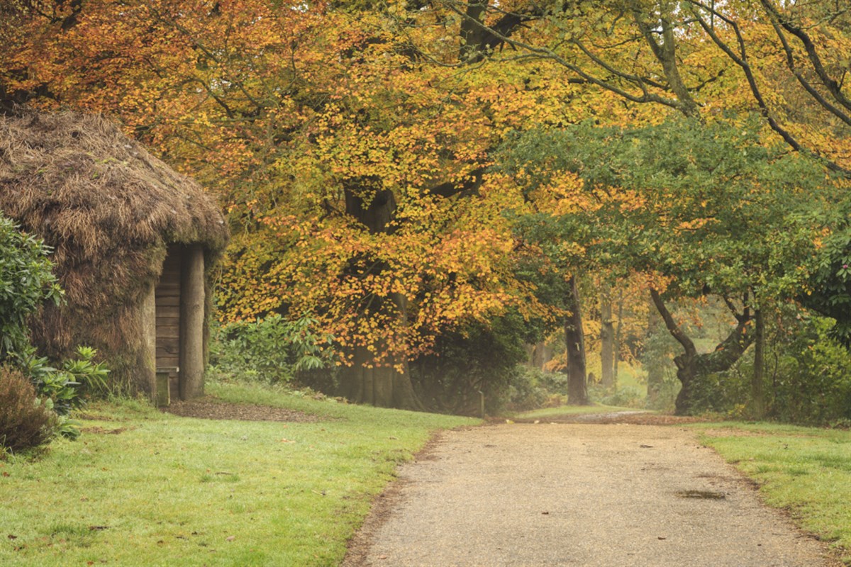 Sheringham Park, Norfolk <span style='font-size:8px;'>®National Trust Images/Justin Minns</span>