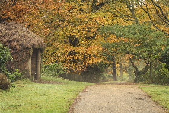 Sheringham Park, Norfolk <span style='font-size:8px;'>®National Trust Images/Justin Minns</span>