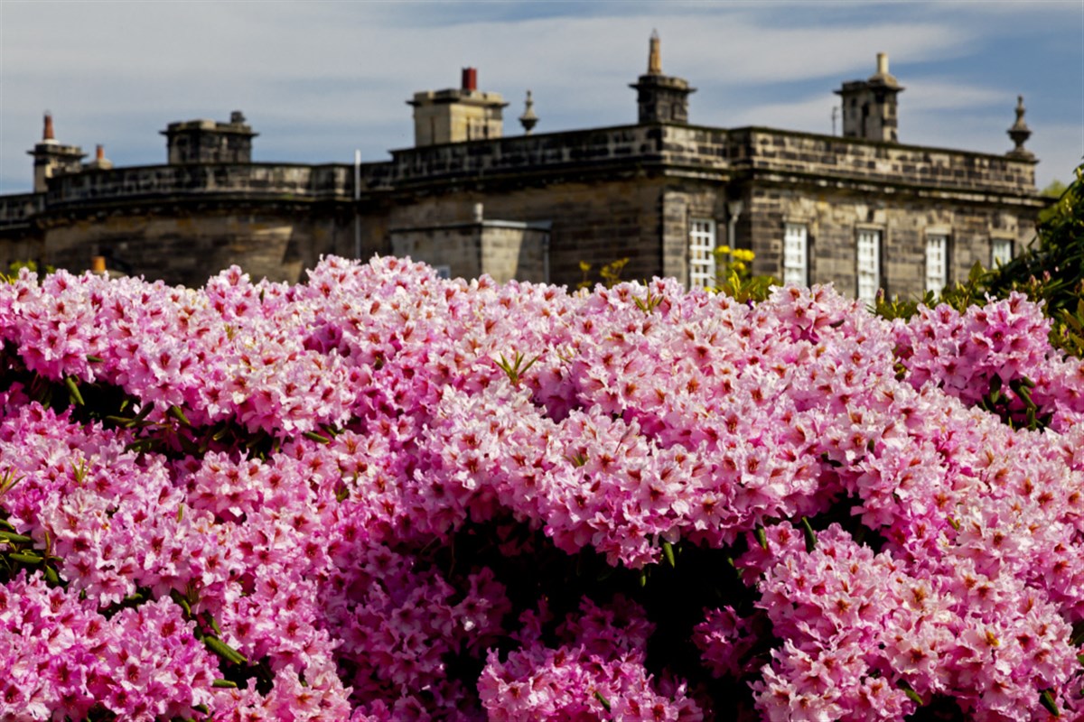Seaton Delaval Hall, Northumberland <span style='font-size:8px;'>®National Trust/Robert Morris</span>