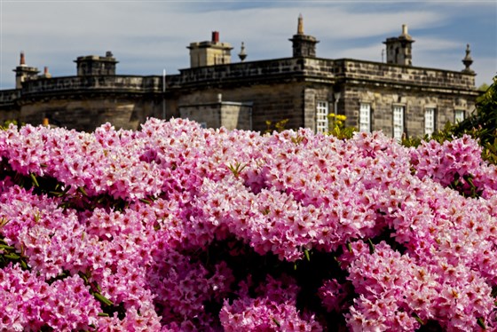 Seaton Delaval Hall, Northumberland <span style='font-size:8px;'>®National Trust/Robert Morris</span>