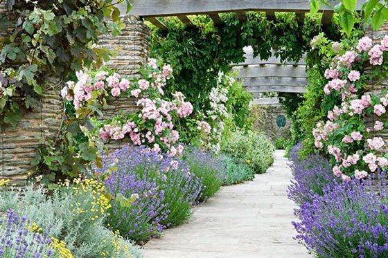 The Pergola