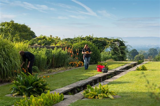 Hestercombe <span style='font-size:8px;'> ®Chris Lacey/ Hestercombe Gardens Trust  </span>