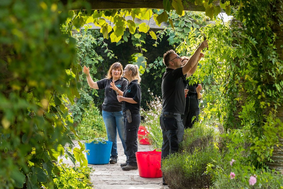 Hestercombe <span style='font-size:8px;'> ®Chris Lacey/ Hestercombe Gardens Trust  </span>