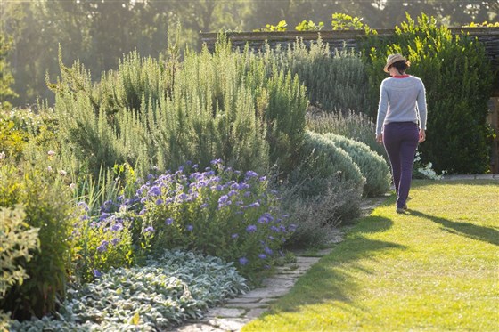 Hestercombe <span style='font-size:8px;'> ®Chris Lacey/ Hestercombe Gardens Trust  </span>