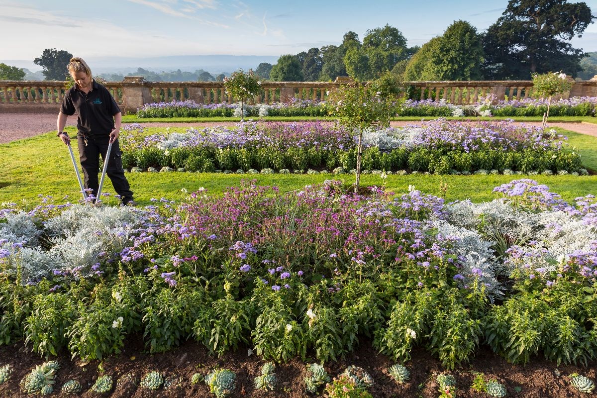 Hestercombe <span style='font-size:8px;'> ®Chris Lacey/ Hestercombe Gardens Trust  </span>