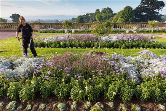 Hestercombe <span style='font-size:8px;'> ®Chris Lacey/ Hestercombe Gardens Trust  </span>
