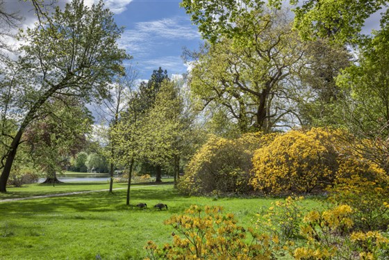 Claremont Landscape Garden, Surrey