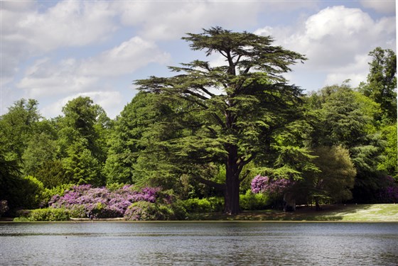 Claremont Landscape Garden, Surrey