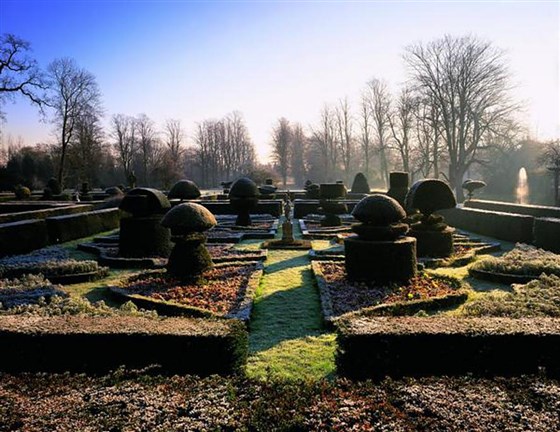 The Topiary on a Frosty Morning
