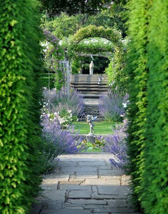 The Rose Garden