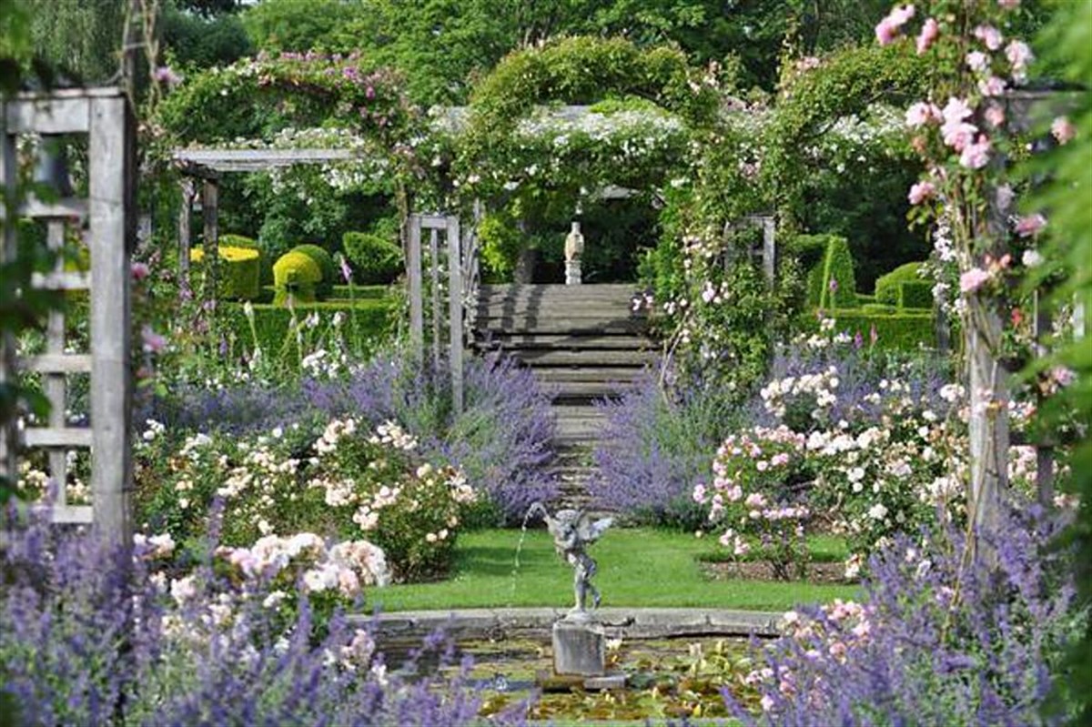 The Lily Pond