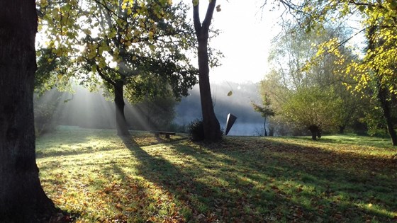 Across the Lake in Autumn