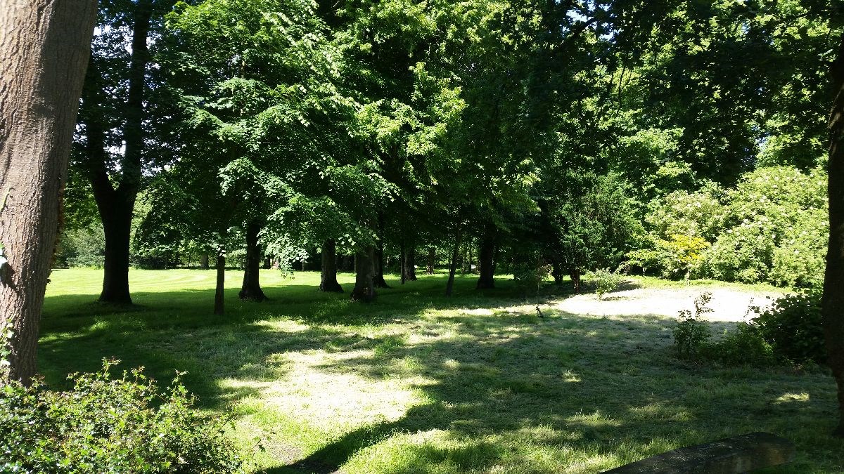 The Woodland